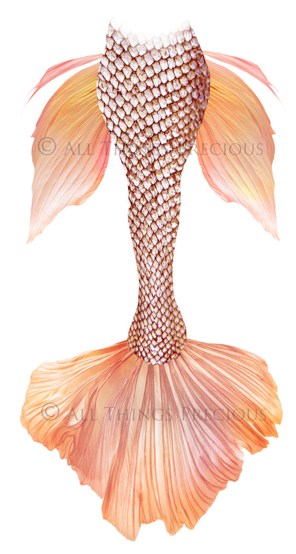 Png transparent Mermaid Tail fin overlays in colourful tints. By ATP Textures Ocean undersea digital backgrounds.